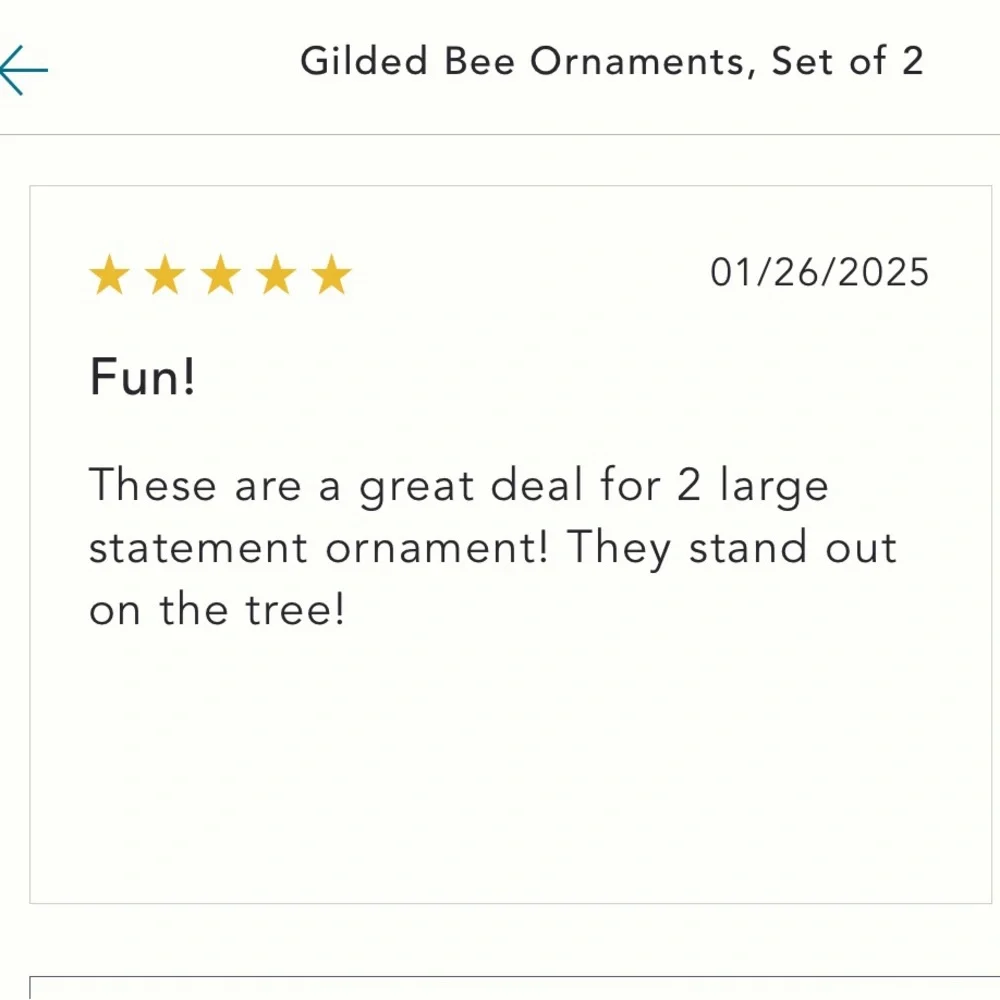 Gilded Bee 🐝 Holiday Ornaments set of 2 - Picture 7 of 8